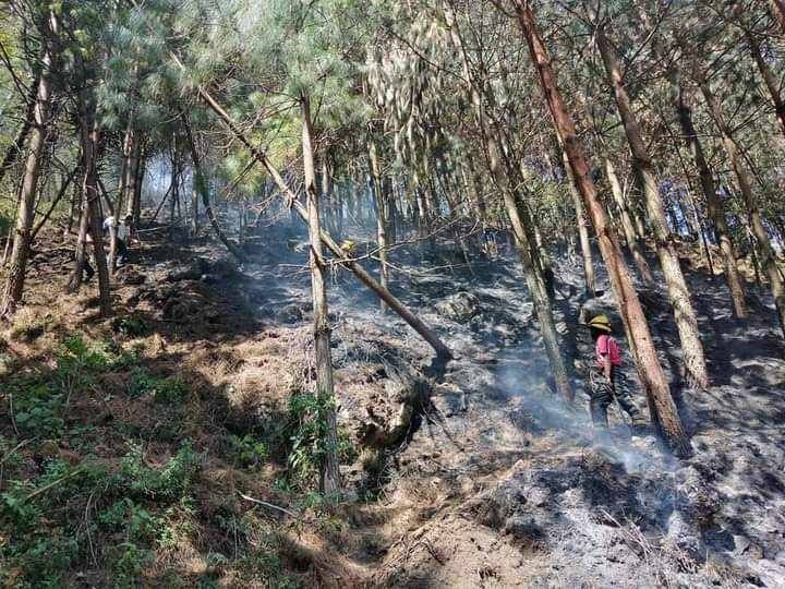 SE PREPARAN ANTE TEMPORADA DE INCENDIOS FORESTALES