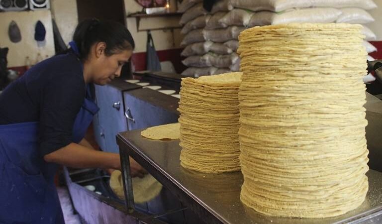 MÉXICO IMPONE ARANCEL DE 50 % A EXPORTACIONES DE MAÍZ PARA ESTABILIZAR PRECIO DE TORTILLA
