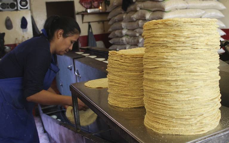 MÉXICO IMPONE ARANCEL DE 50 % A EXPORTACIONES DE MAÍZ PARA ESTABILIZAR PRECIO DE TORTILLA