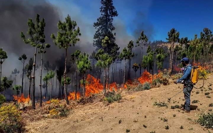 CALCAHUALCO, ENTRE LOS MUNICIPIOS CON MÁS AFECTACIONES POR INCENDIOS FORESTALES