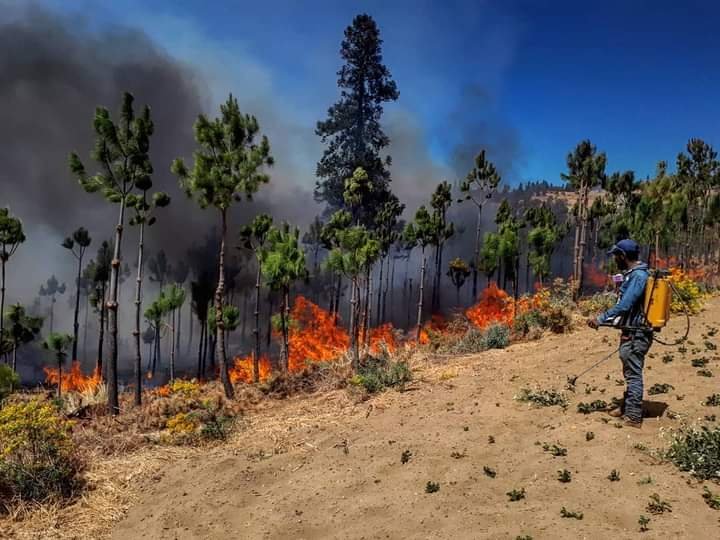 CALCAHUALCO, ENTRE LOS MUNICIPIOS CON MÁS AFECTACIONES POR INCENDIOS FORESTALES