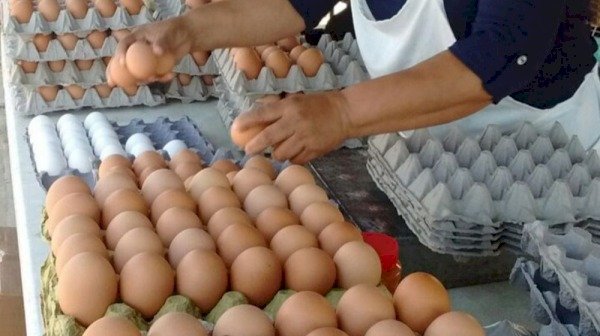 ESTADOS UNIDOS REPORTA AUMENTO EN VOLUMEN DE HUEVOS MEXICANOS DECOMISADOS EN LA FRONTERA
