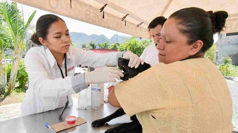 CENTRO DE BIENESTAR ANIMAL ESTERILIZARÁ ANIMALES A BAJO COSTO