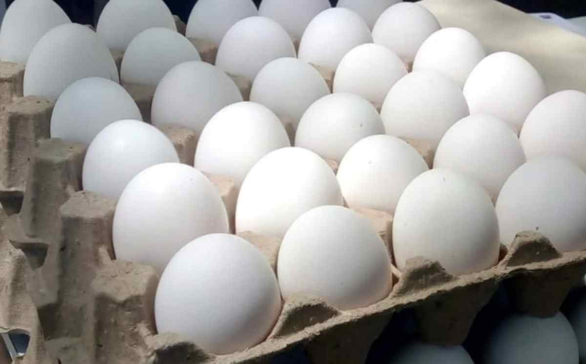 POR AUMENTO EN PRECIO DEL HUEVO, ESTADOUNIDENSES COMPRAN EN MÉXICO