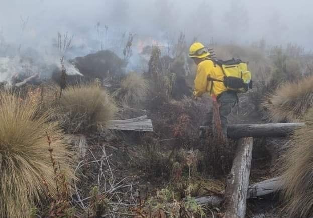 ESPERAN COMPLICADA TEMPORADA DE INCENDIOS EN PICO DE ORIZABA