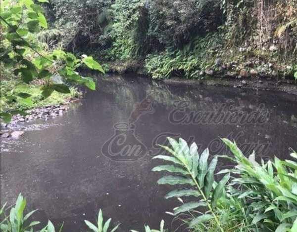 AGONIZA RÍO DE DOS PUENTES
