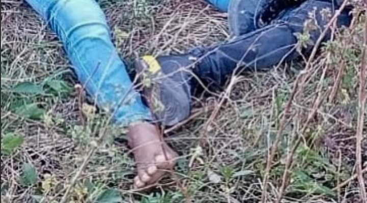 INDIGNANTE; ASESINAN A HERMANITOS