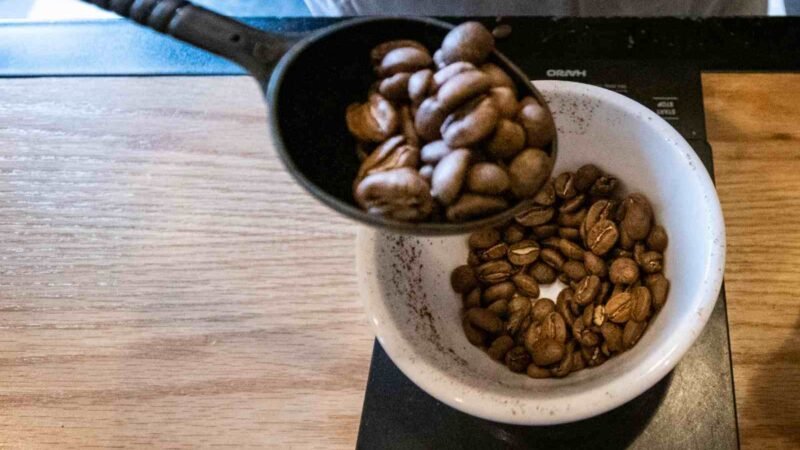 ALISTAN DÉCIMA EDICIÓN DE TAZA DE EXCELENCIA