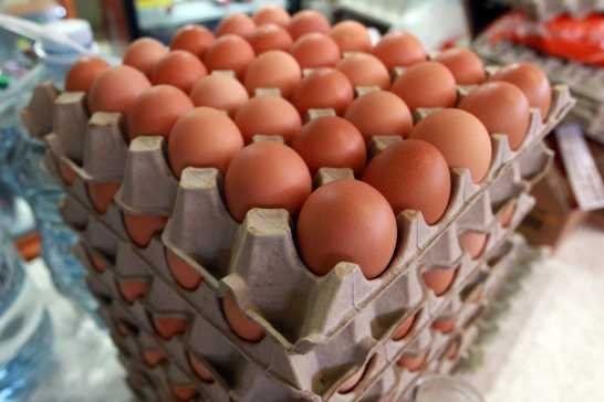 PROFECO ASEGURA QUE EL HUEVO SE ENCARECE POR CLIMA Y GRIPE AVIAR