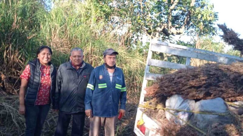 CIERRA PROGRAMA “RECICLA TU NAVIDAD”
