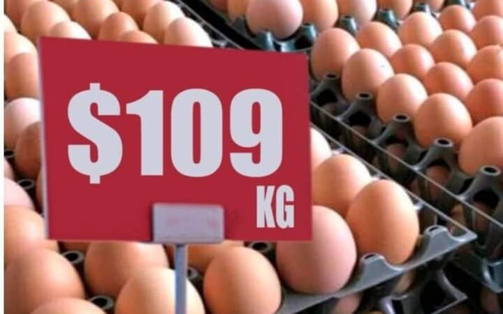 PRECIOS DE LA CANASTA BÁSICA, POR LAS NUBES
