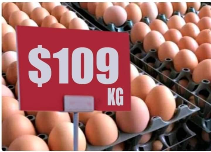 PRECIOS DE LA CANASTA BÁSICA, POR LAS NUBES