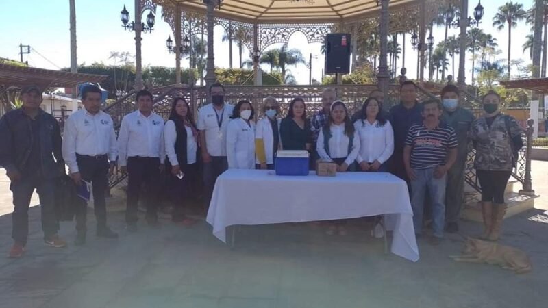 VACUNAN Y ESTERILIZAN A PERROS CALLEJEROS