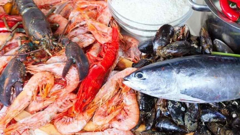 EXHORTA IMSS VERACRUZ SUR A TENER CUIDADO CON CONSUMO DE PESCADOS Y MARISCOS