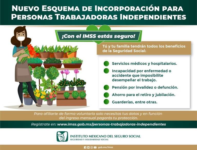 IMSS PROMUEVE SEGURO PARA TRABAJADORES INDEPENDIENTES