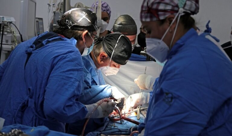 DONACIÓN DE ÓRGANOS EN MÉXICO AUMENTÓ 40% EN 2022