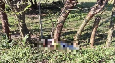 ASESINAN A JOVEN A BALAZOS