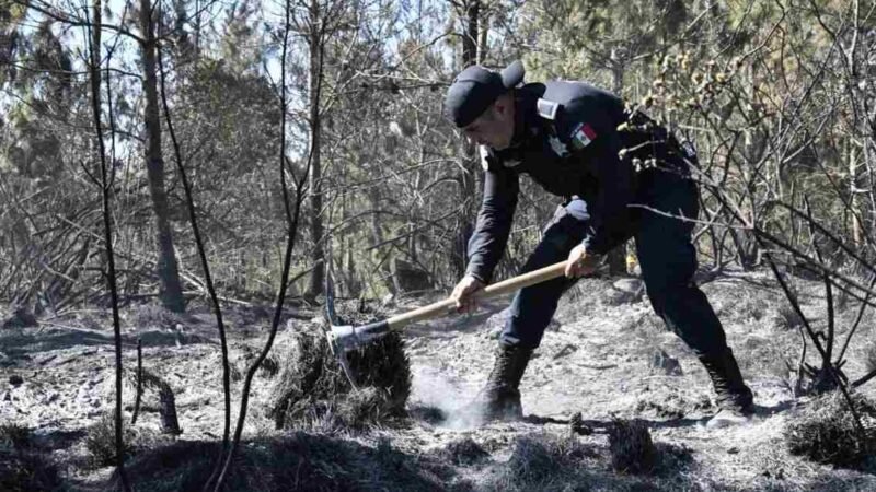 SIGUEN LOS INCENDIOS FORESTALES