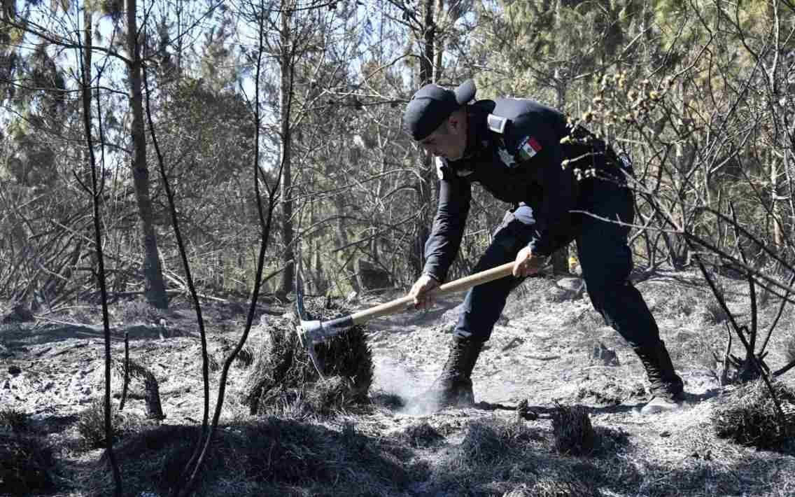 SIGUEN LOS INCENDIOS FORESTALES