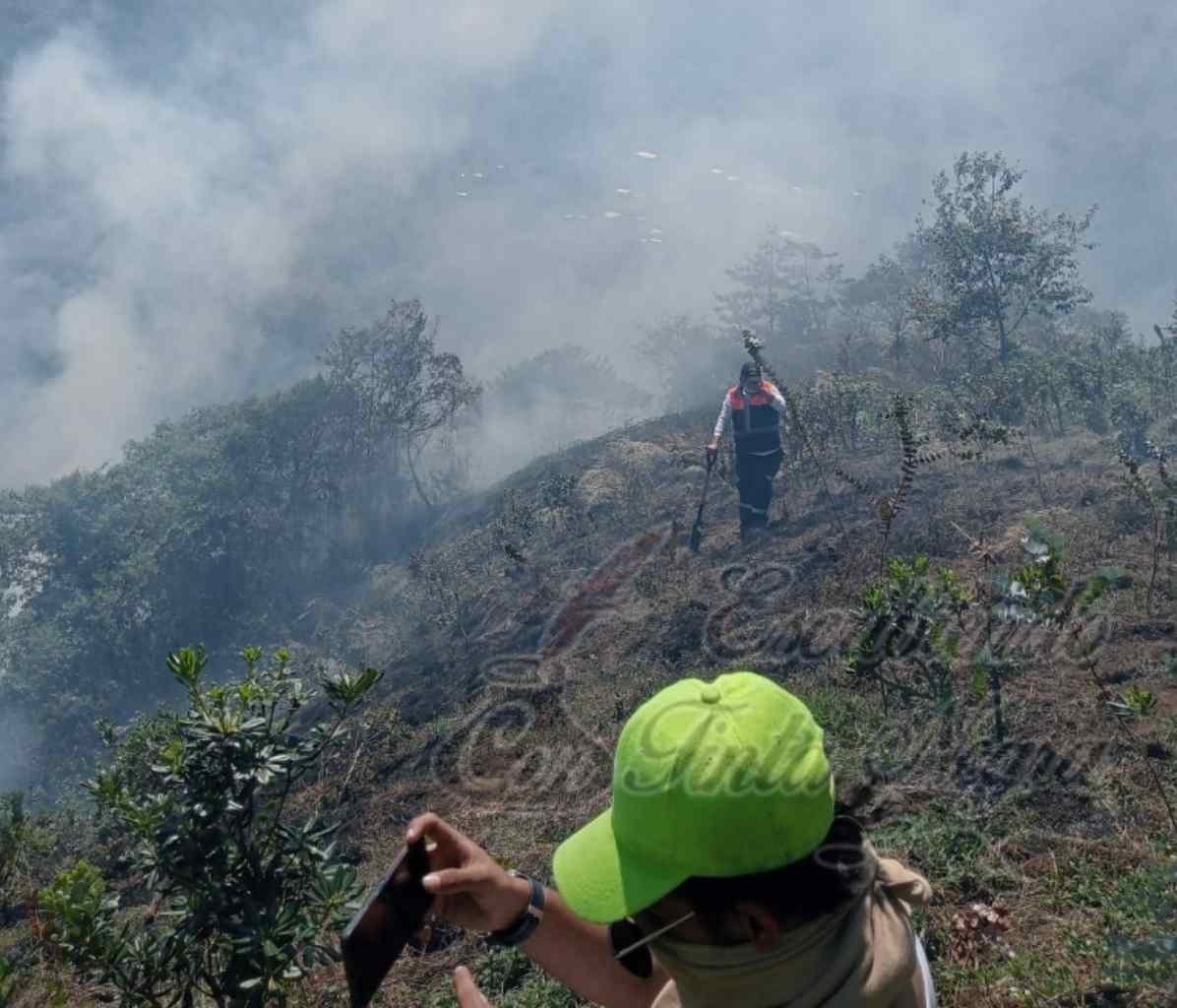 INCENDIO ARRASA CON BOSQUE EN TEPEXILOTLA