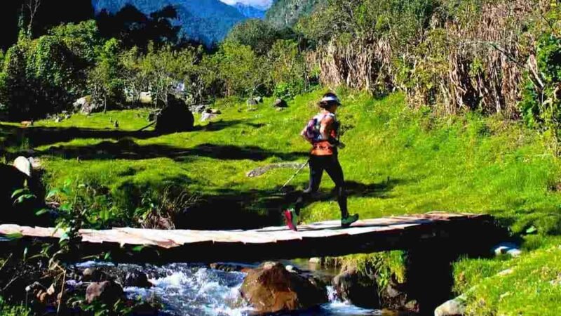 HABRÁ UMAMCITO EN CALCAHUALCO