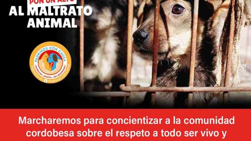 MARCHARÁN PARA EXIGIR UN ALTO AL MALTRATO ANIMAL