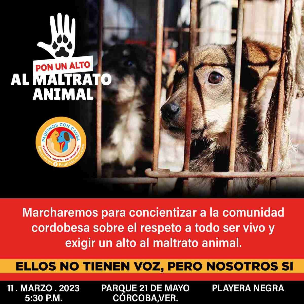 MARCHARÁN PARA EXIGIR UN ALTO AL MALTRATO ANIMAL