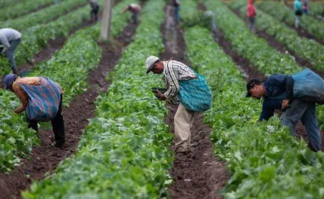 MÉXICO Y CHINA AGILIZARÁN PROTOCOLOS SANITARIOS EN MATERIA AGROALIMENTARIA