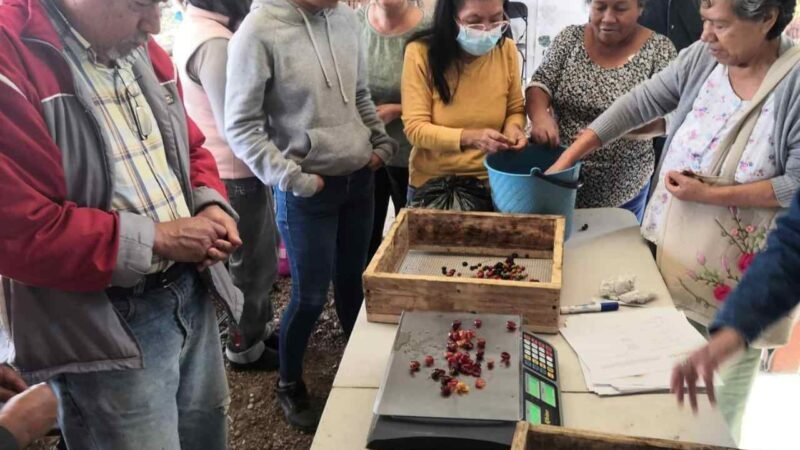 CAPACITAN A CAFETICULTORES SOBRE SUBPRODUCTOS DEL CAFÉ