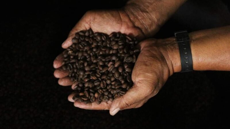 CÓRDOBA, SEDE DE RECEPCIÓN DE MUESTRAS DEL CONCURSO “CAFÉ VERACRUZ 2023”