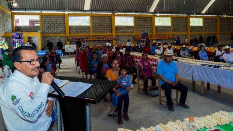 COSCOMATEPEC INVIERTE EN LA PRESERVACIÓN DE VARIEDAD NATIVA DE MAÍZ