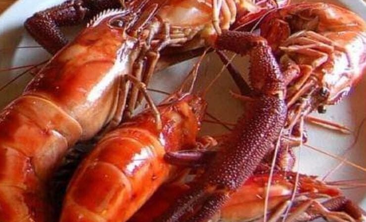 HABRÁ SIMPOSIO SOBRE CULTIVO DE LANGOSTINOS