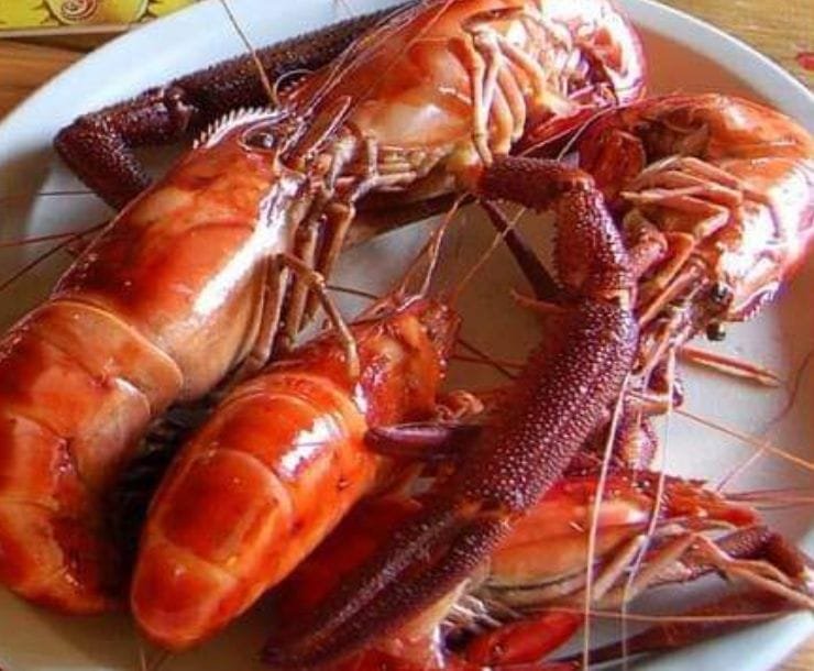 HABRÁ SIMPOSIO SOBRE CULTIVO DE LANGOSTINOS