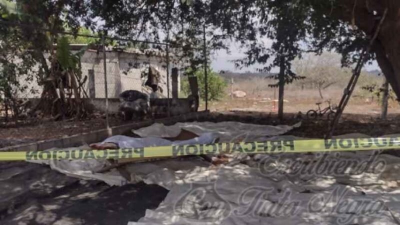 SE MATA AL CAER DE ÁRBOL