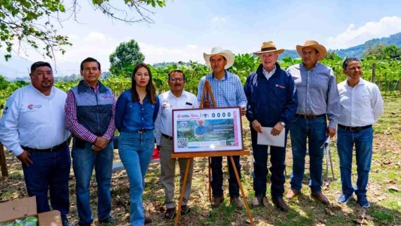 COSCOMATEPEC, PRINCIPAL PRODUCTOR DE CHAYOTE A NIVEL NACIONAL