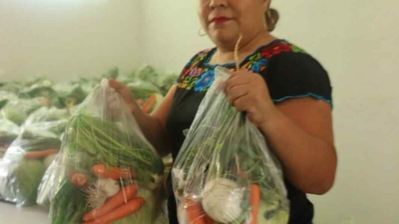 LLEGA “DESPENSA VERDE” A ATOYAC