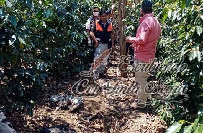 DENUNCIAN ENVENENAMIENTO DE PERROS Y ZOPILOTES