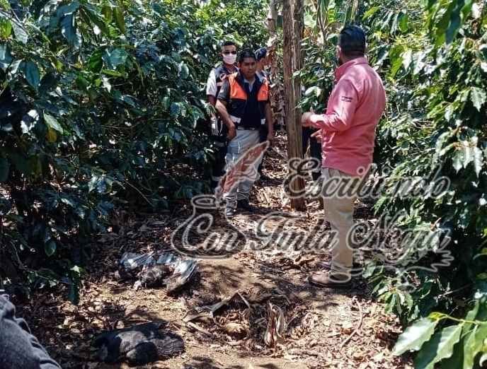 DENUNCIAN ENVENENAMIENTO DE PERROS Y ZOPILOTES