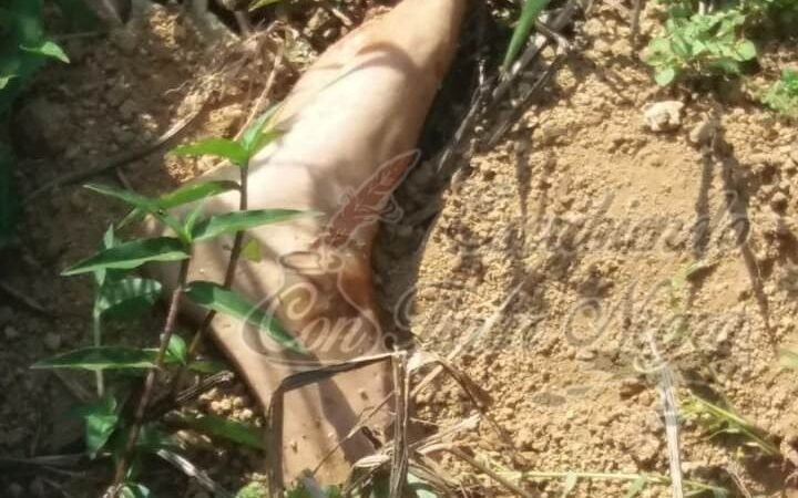 ENCUENTRAN RESTOS HUMANOS EN COSCOMATEPEC