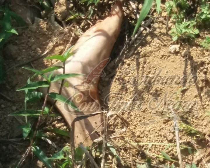 ENCUENTRAN RESTOS HUMANOS EN COSCOMATEPEC