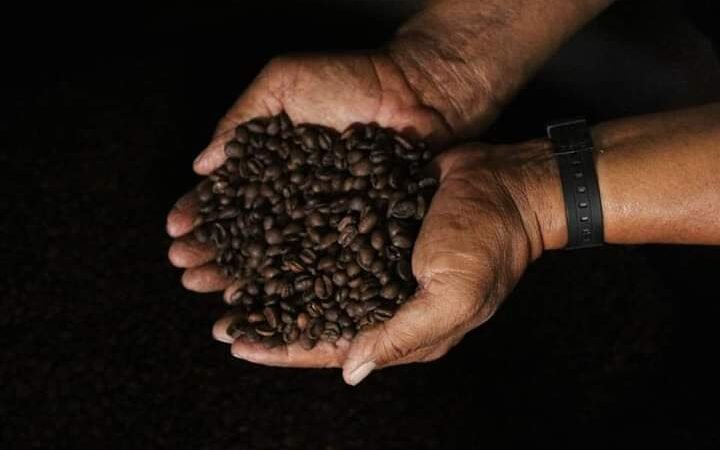 PARTICIPARÁN MÁS DE 600 PRODUCTORES EN PREMIO ESTATAL DEL CAFÉ