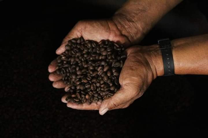 PARTICIPARÁN MÁS DE 600 PRODUCTORES EN PREMIO ESTATAL DEL CAFÉ