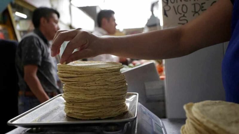 MÉXICO BUSCA DETECTAR MAÍZ TRANSGÉNICO EN TORTILLAS