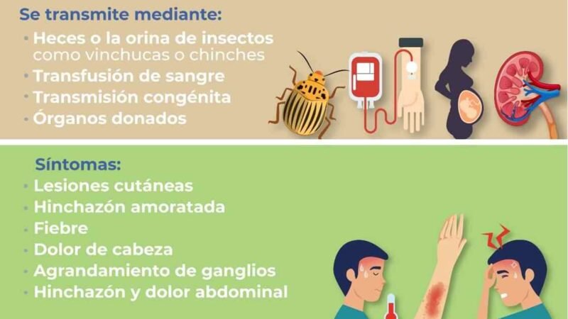 MAL DE CHAGRAS PUEDE SER MORTAL