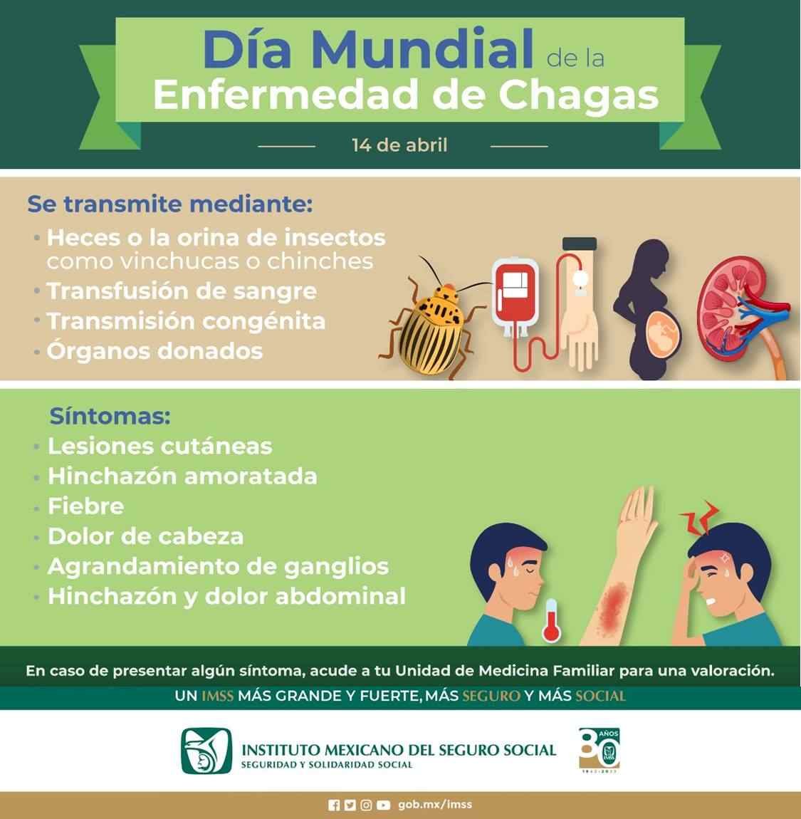 MAL DE CHAGRAS PUEDE SER MORTAL