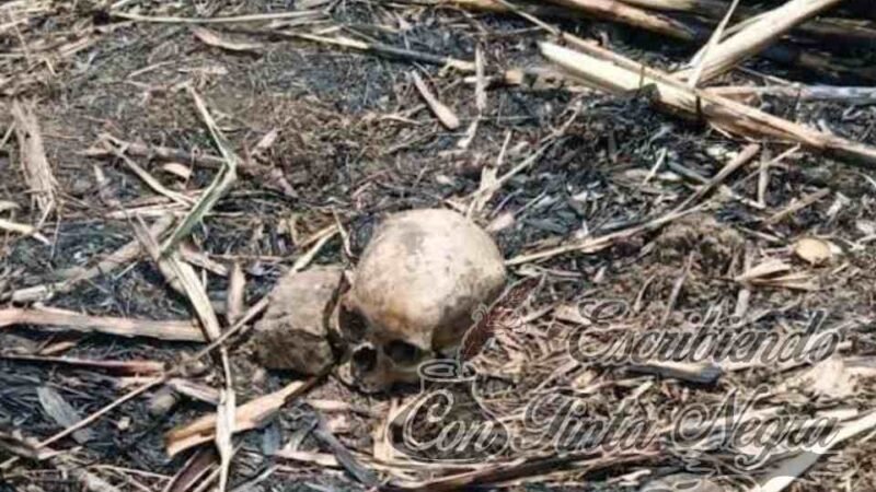 ENCUENTRAN CRANEO; PERSONA FUE EJECUTADA