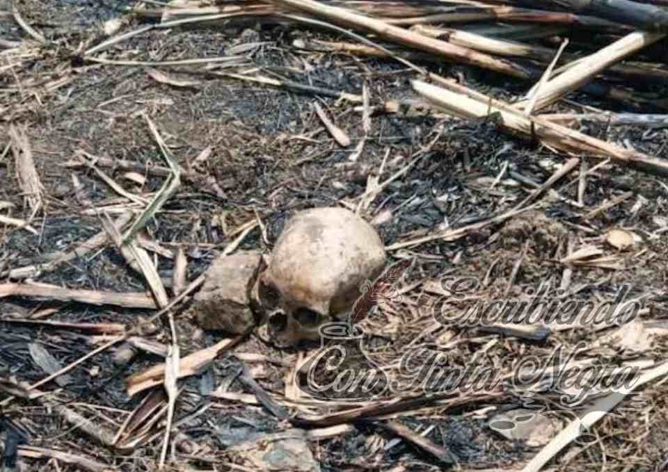 ENCUENTRAN CRANEO; PERSONA FUE EJECUTADA