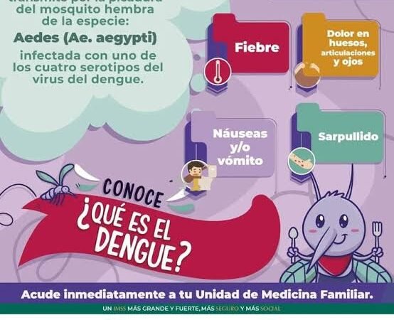 LLAMA IMSS A NO BAJAR LA GUARDIA ANTE DENGUE