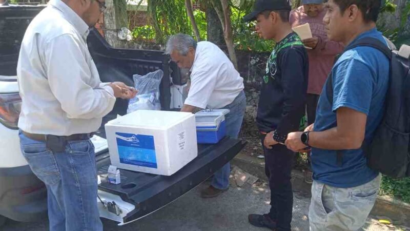 ARRANCA VACUNACIÓN DE AVES DE TRASPATIO EN ATOYAC