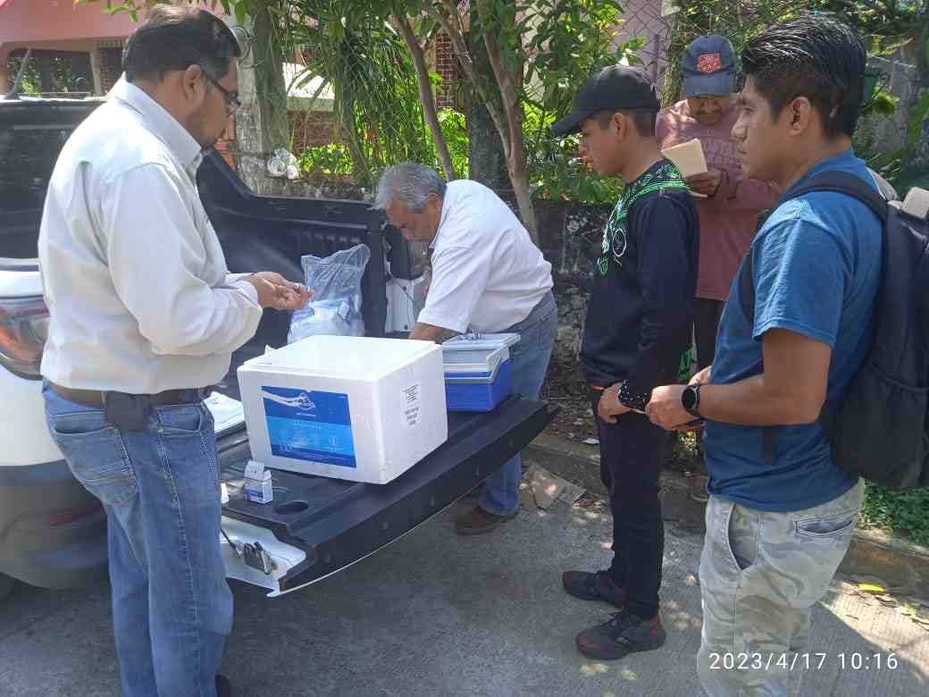 ARRANCA VACUNACIÓN DE AVES DE TRASPATIO EN ATOYAC